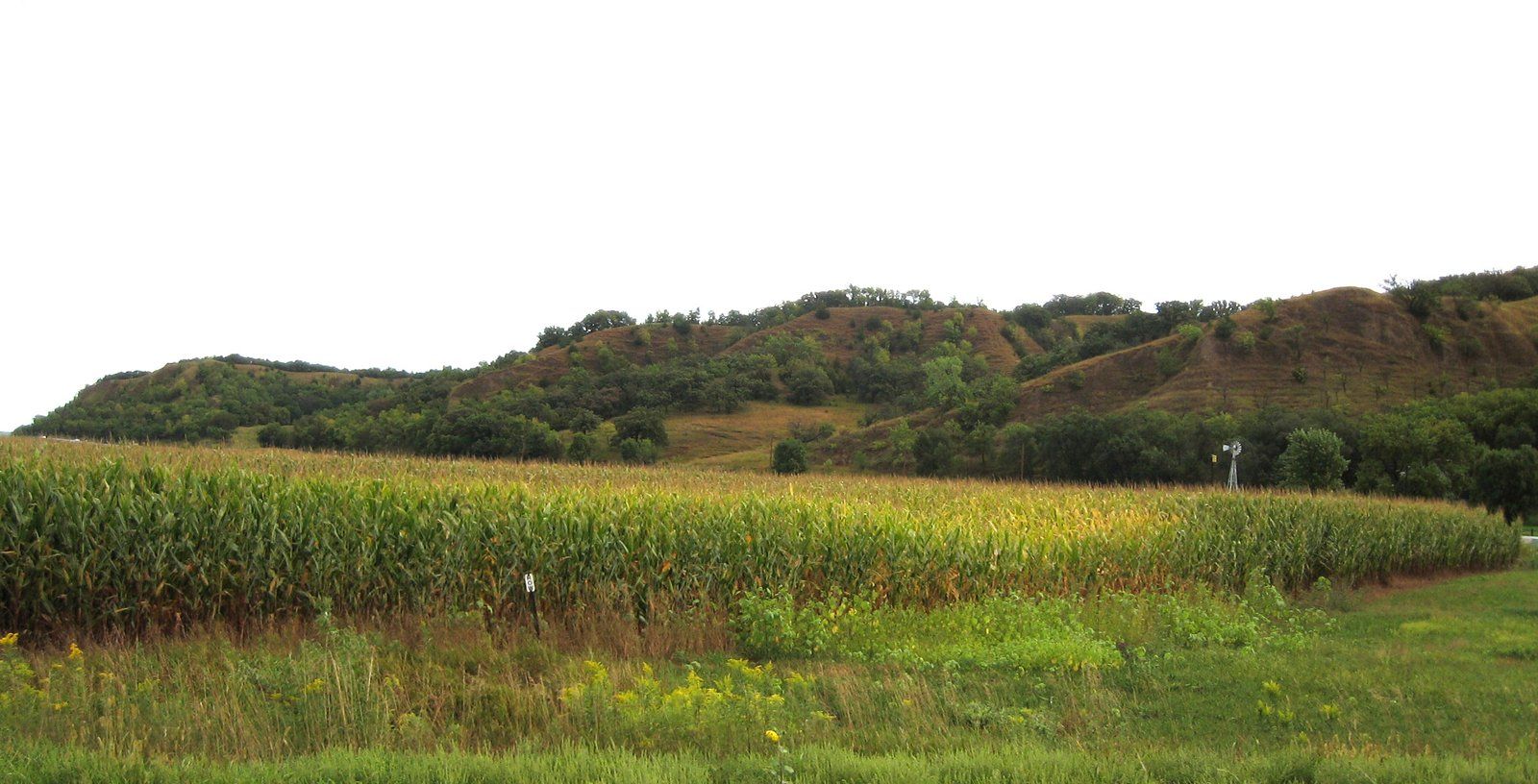 Vincent Bluff State Preserve