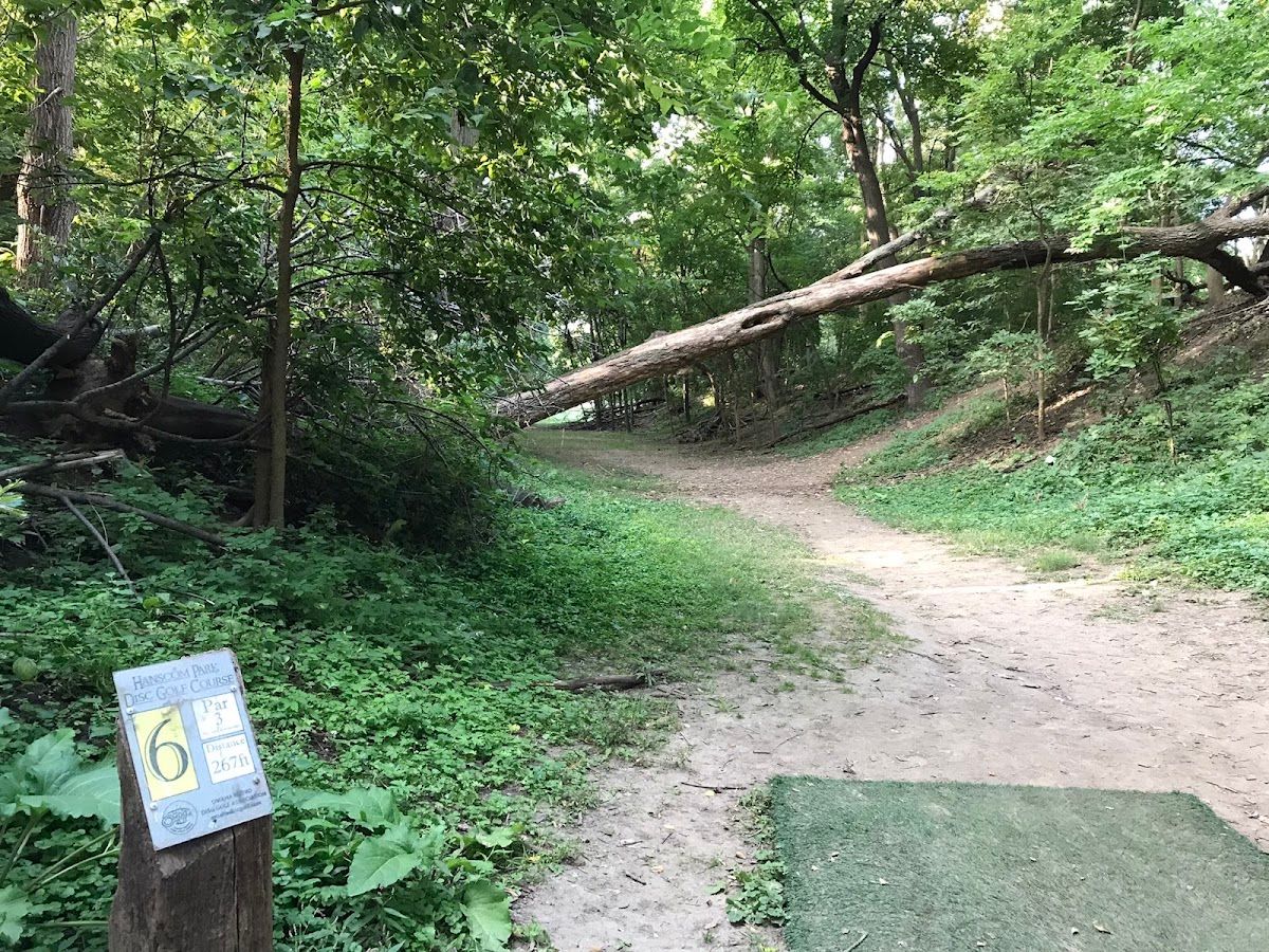 Hanscom Park Disc Golf