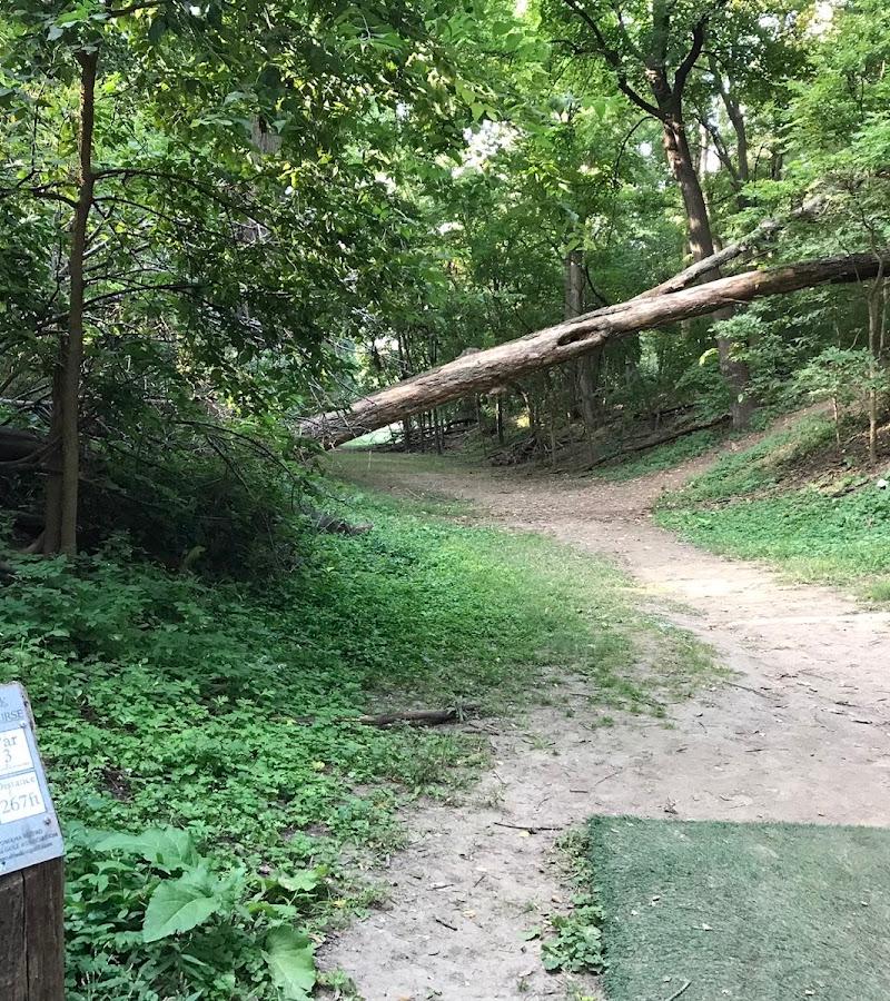 Hanscom Park Disc Golf