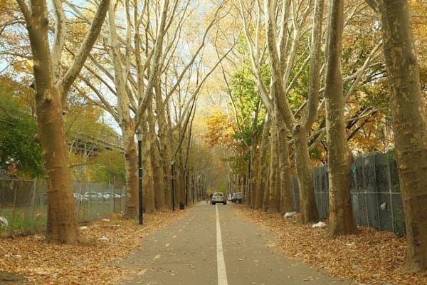 Elmwood Park