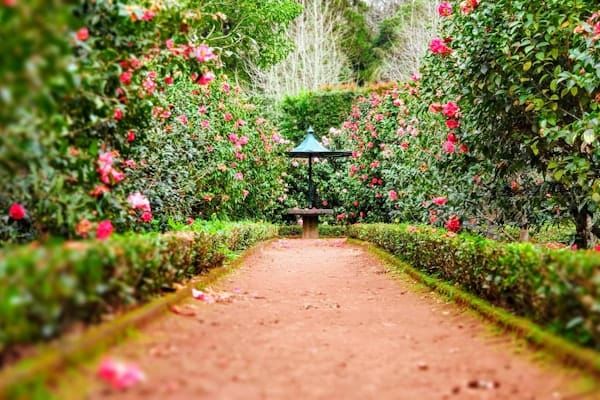 Lauritzen Gardens