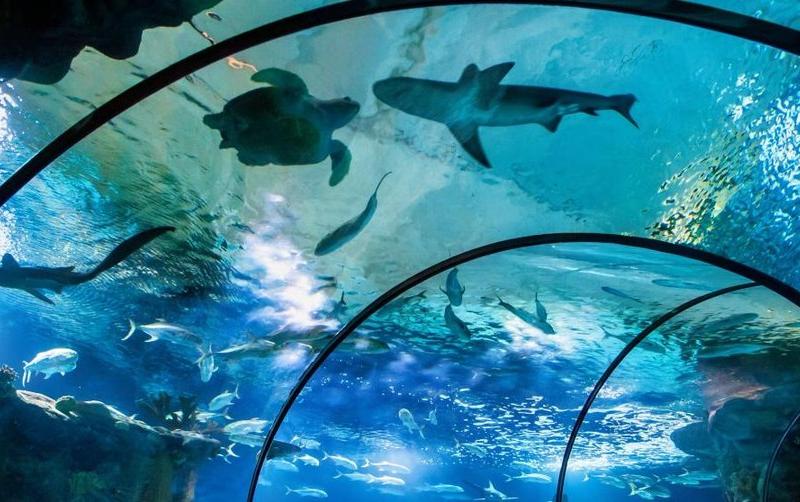 Omaha's Henry Doorly Zoo & Aquarium