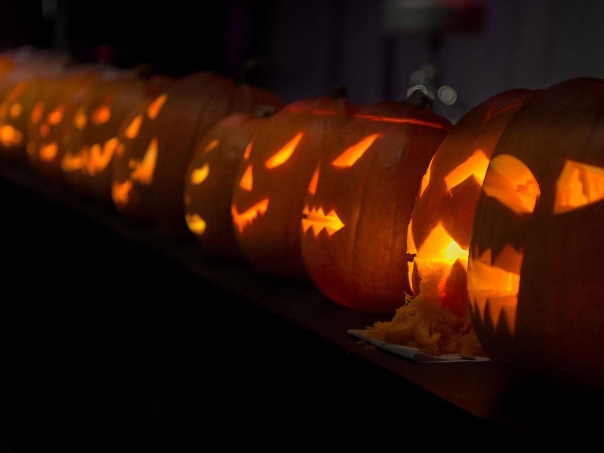 Halloween Trick or Treat Day at OCM